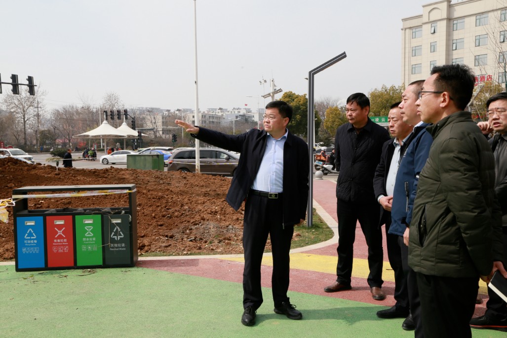 调研督导积水点改造和城乡大绿化工作(图3)